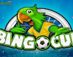 Bingo Cup kostenlos spielen